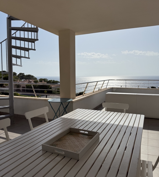 Resa Estates Ibiza longter rental Cala Tarida penthouse terrace.jpeg